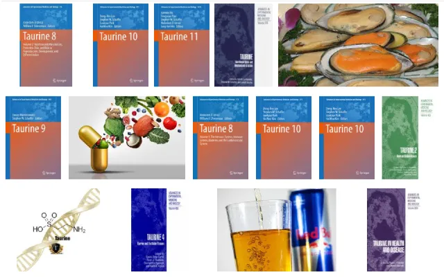 Science of Taurine Content in Food