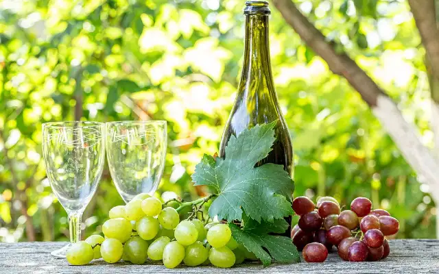 Grapes, Juice, Wine, and Vine Leaves