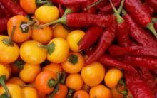 What Benefits from Red and Orange Vegetables?