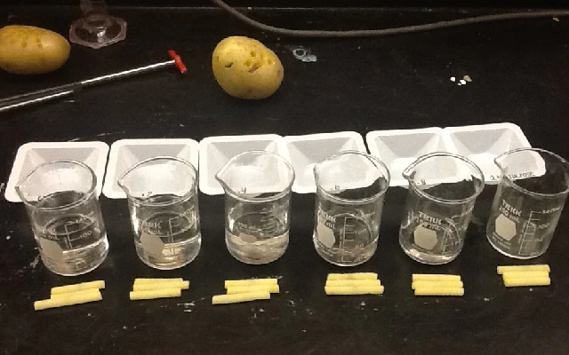 Are Potatoes Healthy?